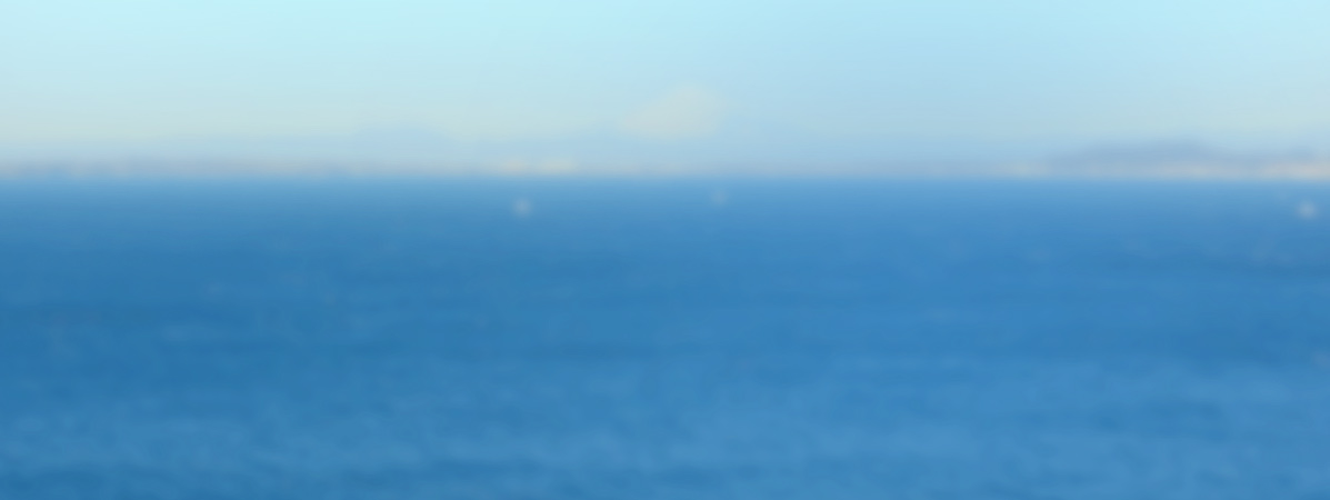 TJKリゾート金谷城 部屋タイプ・料金